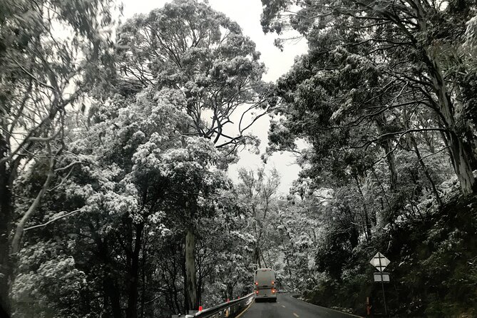 Mount Buller 1 Day Guided Tour - Common Questions