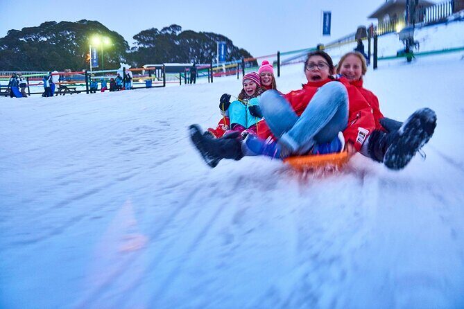 Mount Buller Sightseeing Tour - The Itinerary in Detail