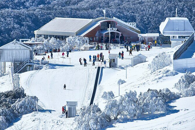 Mount Buller Sightseeing Tour - FAQ