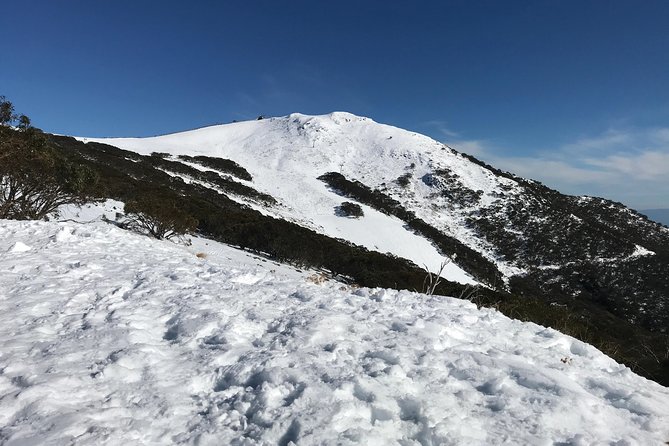 Mount Buller Snow Day Boutique Trip - Max 11 People - Accommodation Options