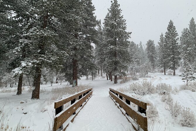 Mount Charleston Guided Tour - Why Choose Mount Charleston Guided Tour?