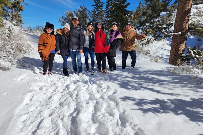 Mount Charleston Guided Tour - Captivating Landscapes and Stunning Views