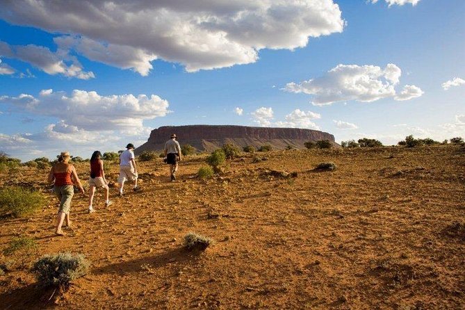 Mount Conner 4WD Small Group Tour From Ayers Rock Including Dinner - The Sum Up