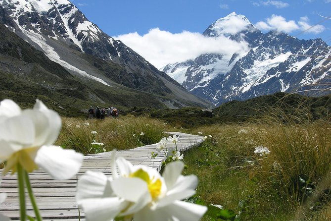 Mount Cook Day Tour From Christchurch - Cancellation Policy