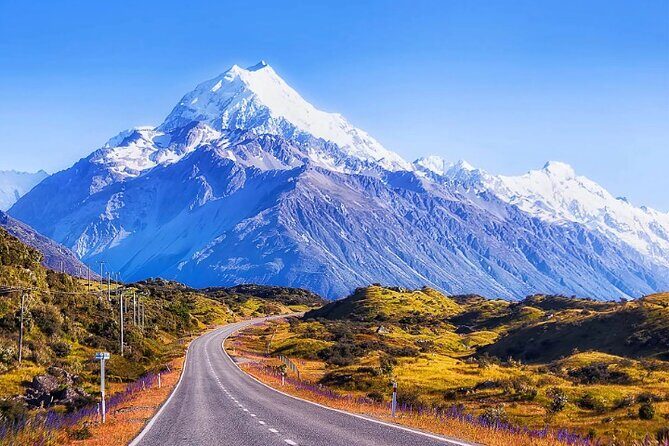 Mount Cook & Lake Tekapo Day Trip from Christchurch - What Makes This Tour Stand Out?