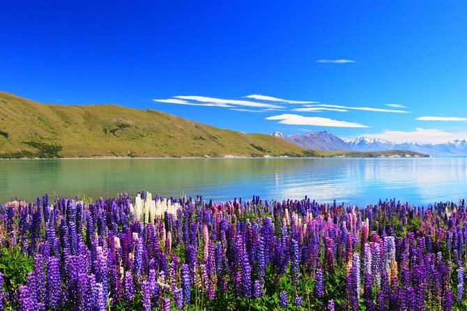Mount Cook Return Day Tour via Lake Tekapo From Christchurch - Itinerary Overview