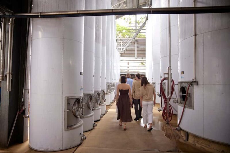 Mount Cotton: Winery Tour & Tasting with 3-Course Lunch - The Lunch: A Tuscan-Style Affair