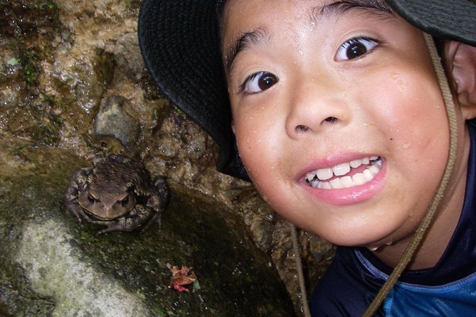 Mount Daisen Canyoning (*Limited to International Travelers Only) - Common Questions