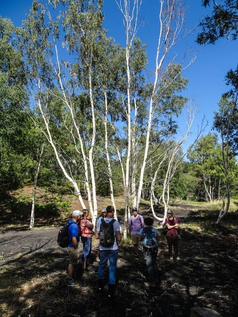 Mount Etna and Alcantara Gorges Day Trip - Final Thoughts: Is It Worth It?