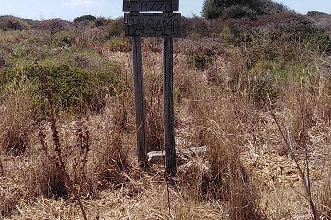 Mount Etna and Alcantara Gorges Tour - Tour Highlights