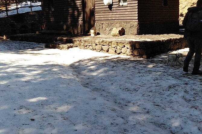 Mount Etna and Alcantara Gorges Tour - Inclusions and Exclusions