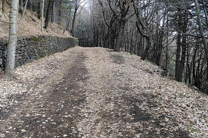 Mount Etna and Alcantara Gorges Tour - Common Questions