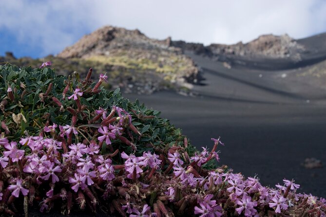 Mount Etna Excursion Visit to the Lava Tubes - Reviews and Recommendations From Viator Travelers