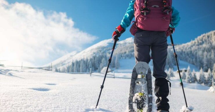 Mount Etna: Guided Snowshoeing Trekking Tour - Inclusions