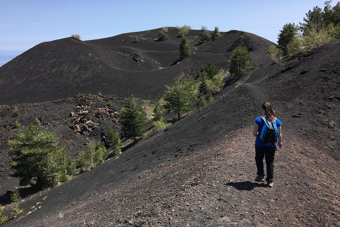 Mount Etna Half Day Jeep 4x4 Tour From Catania or Taormina - Traveler Photos