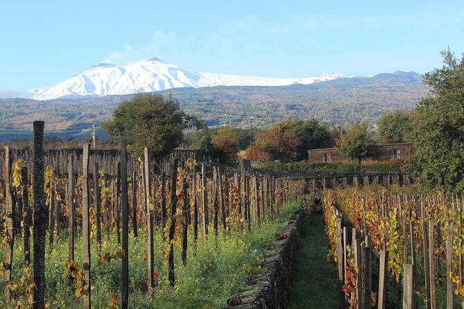 Mount Etna Hike Plus Food and Wine Tour  - Sicily - Tour Duration and Itinerary