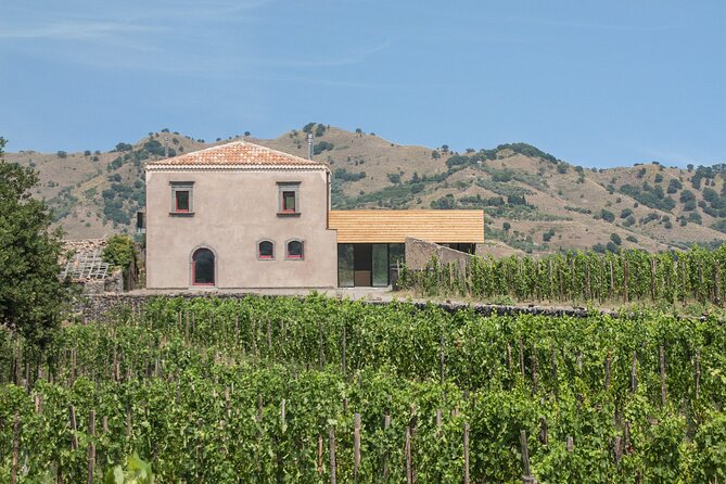 Mount Etna Hike Plus Food and Wine Tour  - Sicily - Common Questions