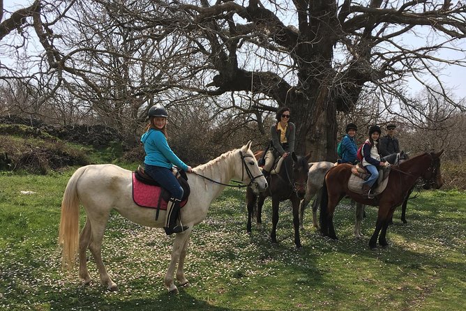 Mount Etna Horseback Riding Excursion - Sicily - Accessibility and Restrictions