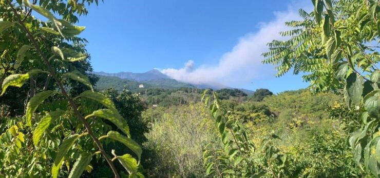 Mount Etna Jeep Tour With Lunch From Taormina - Tour Highlights