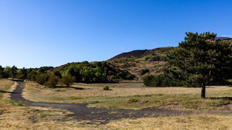 Mount Etna: Sunset Soft Trek in the Recent & Old Lava Flows - Highlights of the Activity