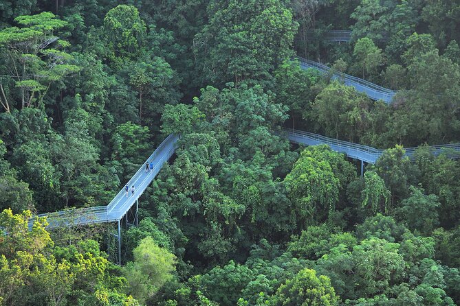 Mount Faber, Henderson Waves and Southern Ridges Tour - Pricing and Value