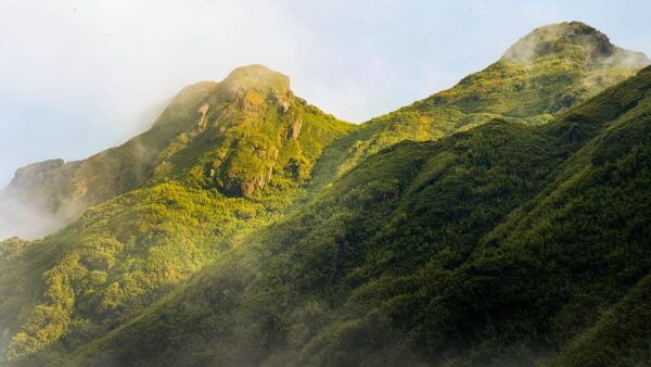 Mount Fansipan Hike 1Day With Best Local Guide - Local Guide Experience