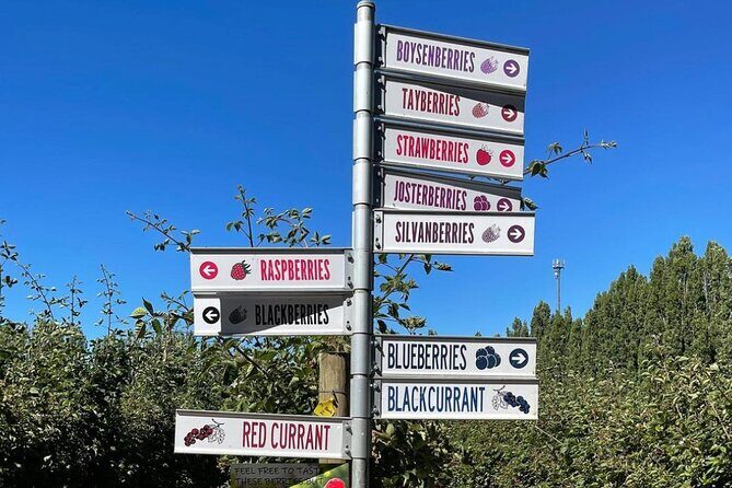 Mount Field And The Derwent Tasting Trail - Authentic Experiences Cited by Travelers