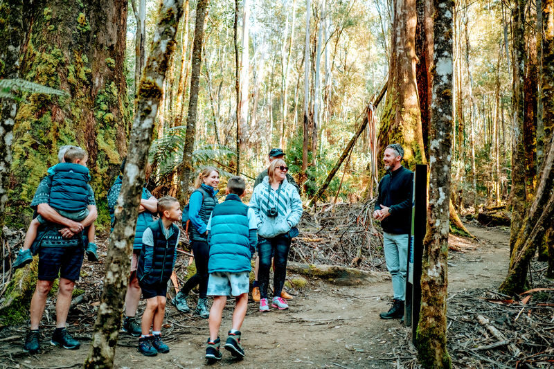 Mount Field, Bonorong Wildlife Sanctuary and Richmond Tour - Mount Field and the walk to Russell Falls