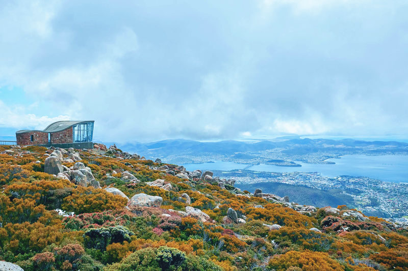 Mount Field, Bonorong Wildlife Sanctuary and Richmond Tour - Pickup, weather and other useful details