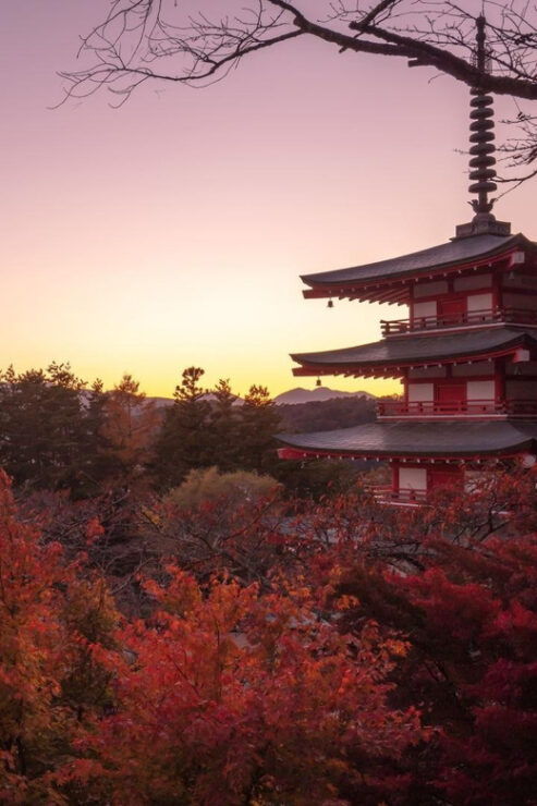 Mount Fuji 1-Day Trip: the Hottest Photography Tour - Good To Know