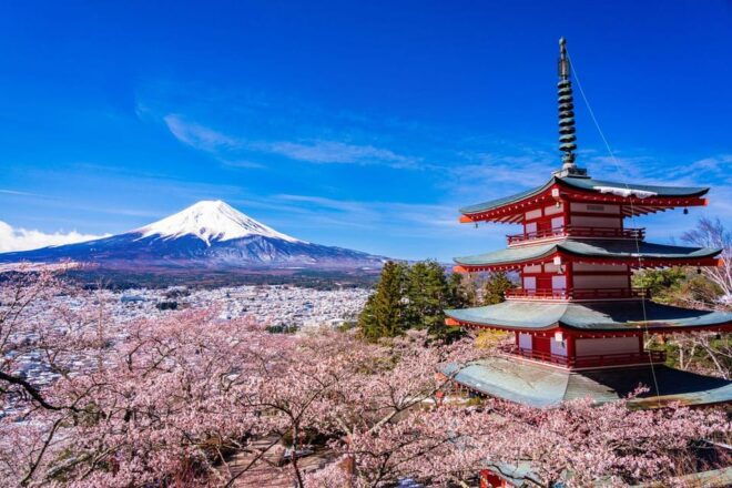 Mount Fuji 1-Day Trip: the Hottest Photography Tour - Experience and Activities