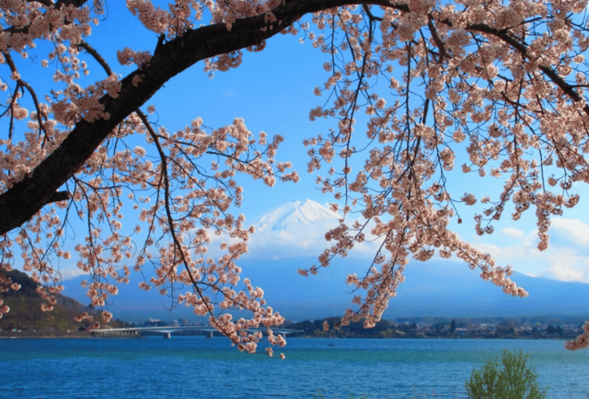 Mount Fuji 1-Day Trip: the Hottest Photography Tour - Inclusions and Logistics
