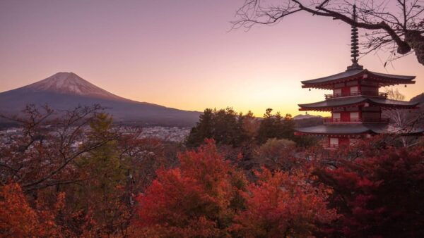 Mount Fuji 1-Day Trip: the Hottest Photography Tour - Frequently Asked Questions