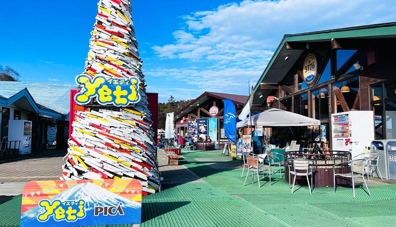 Mount Fuji 2nd Stage YETI Skiing & Hot Spring Resort Day Trip - What the price buys, and who gets the most from it