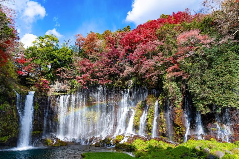 Mount Fuji 360 Panorama & Hidden Gems Day Tour from Tokyo - Lake Yamanaka: room to breathe