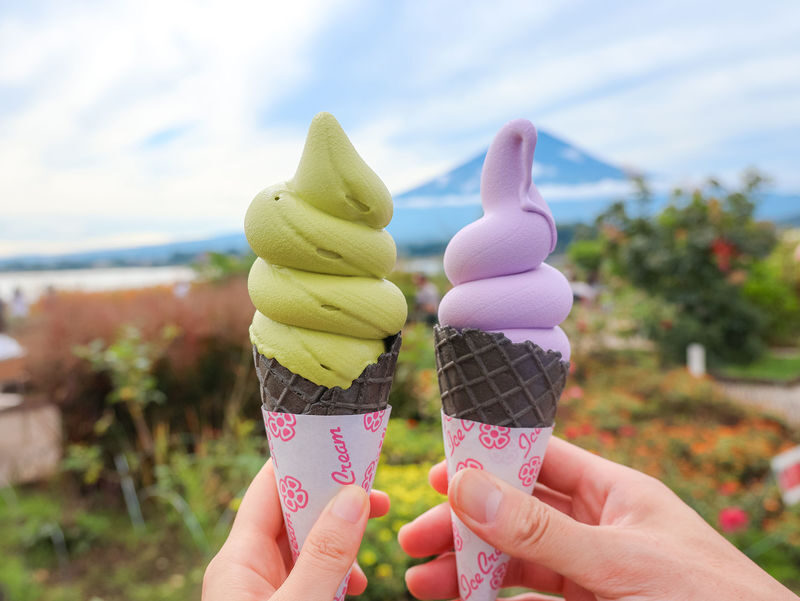 Mount Fuji 360 Panorama & Hidden Gems Day Tour from Tokyo - Booking details worth checking