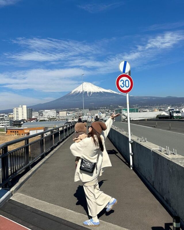 Mount Fuji 5 Must-Visit Instagram Spots Day Tour: Mount Fuji Yume no Ohashi Bridge, Lawson Convenience Store, Arakurayama Sengen Park, Honcho Shopping Street, and Oshino Hakkai (Guided in Chinese or English, Departing from Shinjuku, Tokyo) - Yume no Ohashi Bridge: the staircase toward Fuji
