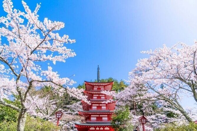 Mount Fuji 5th Station, Arakurayama, Oshino Hakkai and Hot Spring - Who Is This Tour Best Suited For?