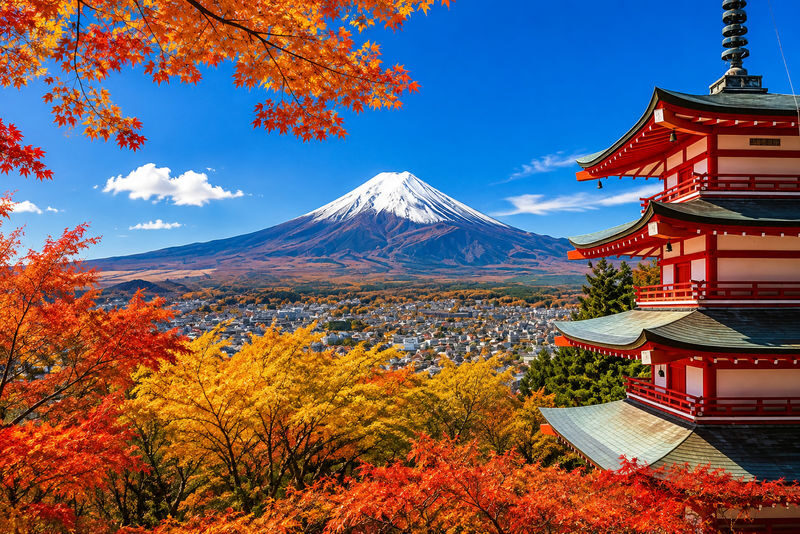Mount Fuji 6 Major Attractions Day Trip: Popular Photo Spot Route, Multilingual Guide (Departing from Tokyo/Shinjuku) - Six stops worth knowing
