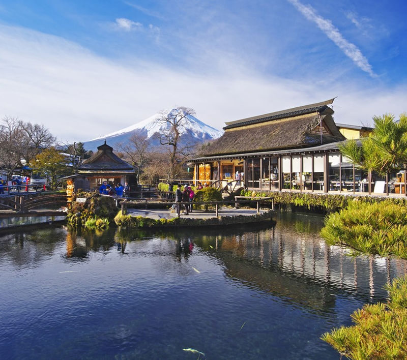 Mount Fuji 9-person small group day tour (departing from Tokyo, driver-guide service, optional hotel pick-up and drop-off) - Optional hotel pick-up and drop-off
