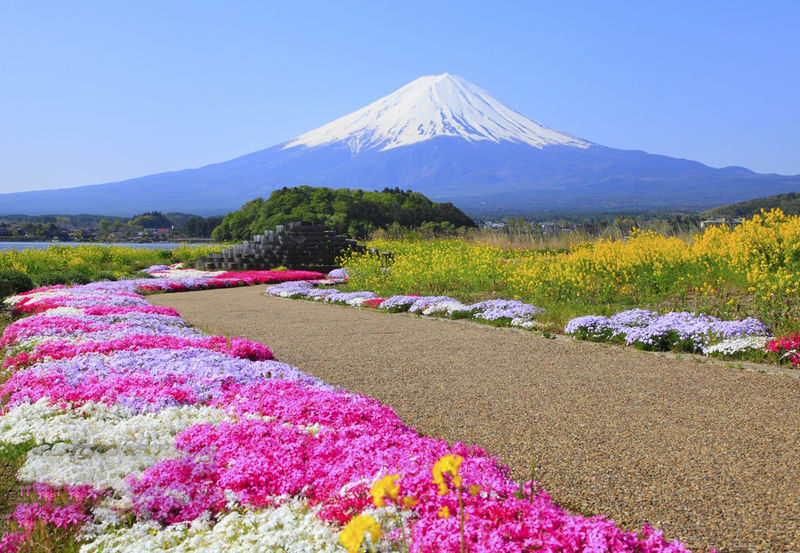 Mount Fuji 9-person small group day tour (departing from Tokyo, driver-guide service, optional hotel pick-up and drop-off) - Is $56.80 good value?