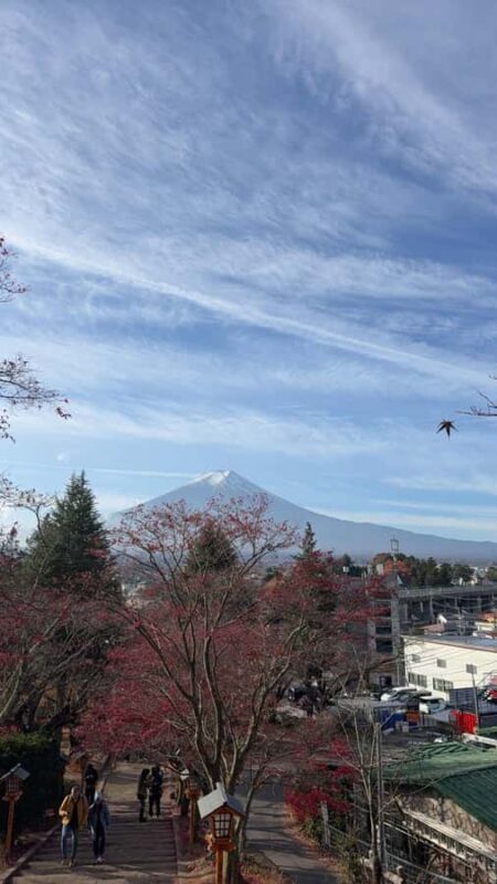 Mount Fuji Adventures Private English Customized Tour - FAQs