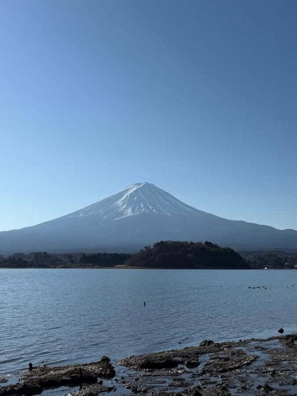 Mount Fuji Adventures Private English Customized Tour - Frequently Asked Questions (FAQs)