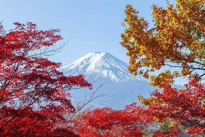 Mount Fuji and Gotemba Outlets Adventure Day Tour - Practical Details & Insights from Reviews
