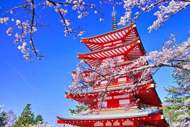 Mount Fuji and Gotemba Outlets Adventure Day Tour - Practical Details and Considerations