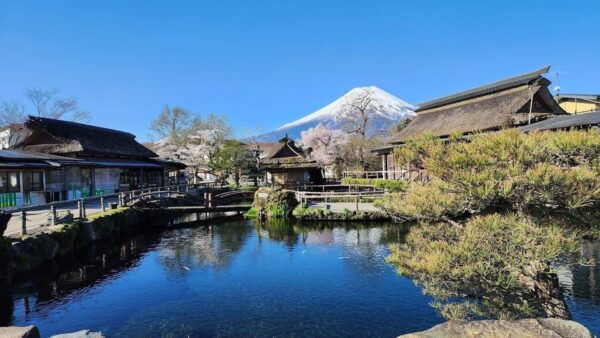 Mount Fuji and Hakone Day Tour With English Speaking Drivers - Frequently Asked Questions