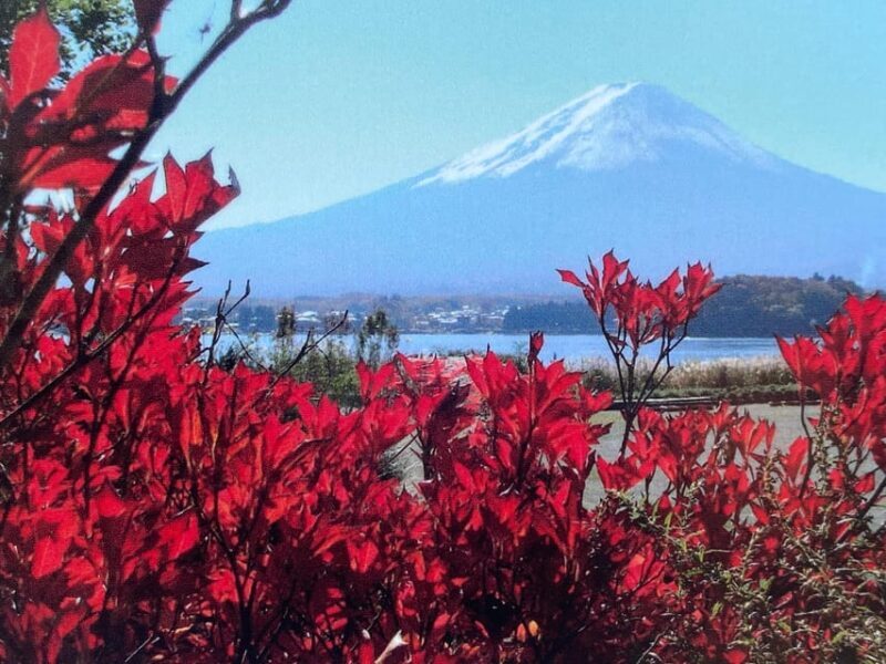 Mount fuji and Hakone day tour with English speaking guide - Practical Tips for a Smooth Experience