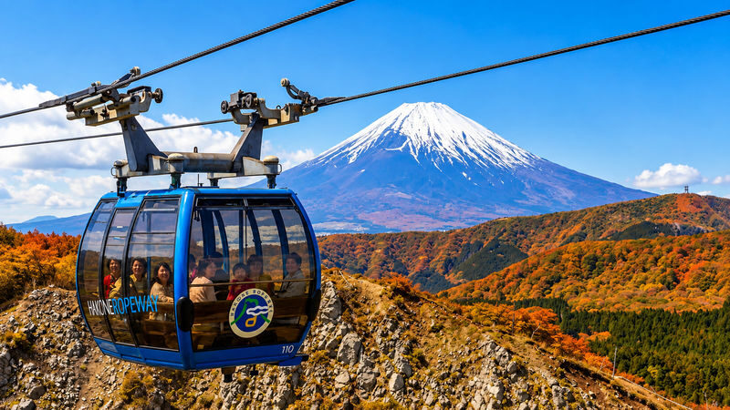 Mount Fuji and Hakone Day Trip with Cable Car Experience - Lake Yamanaka Swan Boat & Oshino Hakkai Views & Torii Reflection & Owakudani Volcanic Wonder (From Tokyo) - Oshino Hakkai’s clear spring ponds