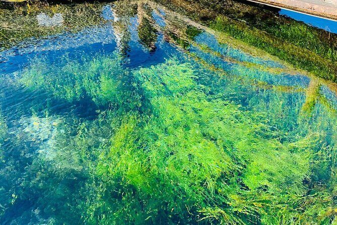 Mount Fuji and Hakone Day Trip with Ropeway Ride - FAQ  