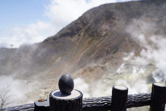 Mount Fuji and Hakone Day Trip with Ropeway Ride - Transportation and Practical Details